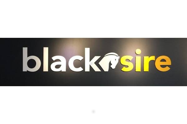 Black Sire Technology Co.,Ltd